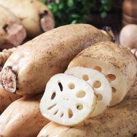 ราคา ใหม่สด จากฟาร์ม รากบัว สด นำเข้า สดใหม่จากผู้นำเข้า ราคาถูก ราคาส่ง (20942995586)