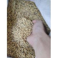 ราคา ข้าวเปลือกไก่ 1 กก เมล็ดสั้น ข้าวเปลือกนกอาหารสัตว์ ข้าวใหม่ไม่เกิน1ปี ข้าวดีไม่มีมอด ผ่านการไล่ความชื้น การันตีเมล็ดข้าวเต็มเกินกว่า 98 (21181791723)