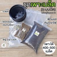 ราคา ชุดเพาะเมล็ด เซ็ตเพาะเมล็ด สำหรับเพาะเมล็ดแคคตัส กระบองเพชร ไม้อวบน้ำ สมุนไพร อื่นๆ จำนวน 5 พอท เพาะได้ถึง 500 เมล็ด (17017275071)