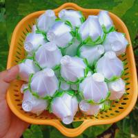 ราคา เหรียญโปรยทาน ดอกบัวตูมสีขาว 50ดอก งานตัวเปล่า (17367098025)