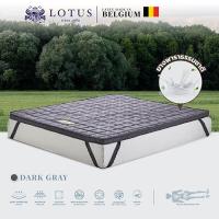ราคา LOTUS ที่นอนยางพารานุ่มแน่น รุ่น Forestex II Dark Gray หนา 3 นิ้ว ส่งฟรี (15591790109)