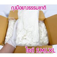 ราคา ยกลัง 10 แพ็ค ถุงมือยาง ถุงมืออเนกประสงค์ ถุงมือตรวจโรค ไม่มีแป้ง แพ็คละ100 50คู่ (17000831885)