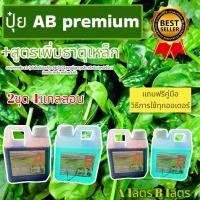 ราคา ปุ๋ยไฮโดรโปนิกส์ ปุ๋ยAB ปุ๋ยน้ำ ปุ๋ยผักสลัด สำหรับปลูกผัก Hydroponics ขนาด1000ML สูตรเข้มข้น 2ชุด New (14685380153)
