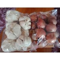 ราคา กระเทียมหัวใหญ่ๆ สวยๆ แห้งดี เก็บไว้ได้นาน ขนาด500กรัม 45บาท หอมแขกหัวสวยๆ แห้งดี ขนาด500กรัม 30บาท เชตนี้ราคา75บาท (15427636019)