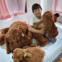 ราคา ตุ๊กตาหมาหมอบ ขนนุ่ม น่ากอด 3 แบบ 3 ขนาด (7467048750)