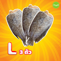 ราคา พร้อมส่ง ปลาสลิดแดดเดียว ปลาสลิดไข่แดดเดียว ปลาสลิดไข่ ปลาสลิดบางบ่อ สูตรเค็มน้อยอร่อยมาก มีไข่ทุกตัว (17491080785)