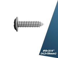 ราคา เบอร์ 8 สกรู เกลียวปล่อย หัวกลม หัวแพน แฉก P ปลายแหลม น็อต 8 สกรูเกลียวปล่อยหัวแฉก (19428042040)