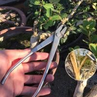 ราคา คีมบอนไซ คีมนกแก้ว คีมท้องเรือ คีมตัดกิ่ง อุปกรณ์บอนไซ เครื่องมือบอนไซ คีมบอนไซ สแตนเลส Maxwell (18615082053)