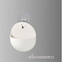 ราคา กระถาง กระถางต้นไม้ กระถางต้นไม้ติดผนัง ไม้อวบน้ำ กระบองเพชร พร้อมส่งจ้า (9089774973)