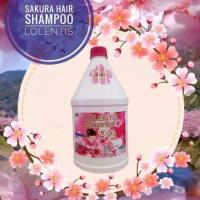 ราคา แชมพูครีมนวด ลอเลนติสผมนุ่มลื่น กลิ่นหอมติดผม แพคคู่ 1600มล (10099733878)