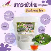 ราคา กระพังโหม ตดหมูตดหมา Skunk vine Tea ขับลม ขับปัสสาวะ แก้ปวดเมื่อย แก้ซางเด็ก (19091826260)
