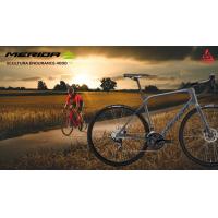 ราคา New Merida Scultura Endurance 4000 (17429833259)