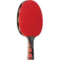 ราคา STIGA Evolution Performance Level Table Tennis Racket Made with Approved Rubber for Tournament Play multi (15101006213)