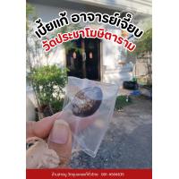 ราคา ของแท้ เบี้ยแก้ ปลุกเสกโดยอาจารย์เจี๊ยบ วัดประชาโฆสิตาราม (21210314360)