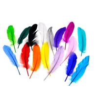 ราคา 50pcs Natural Goose Feather 15 20cm Crafts DIY Pure Feathers for Wedding Decor Jewelry Ballons Clothing Decoration Accessories (19529581126)