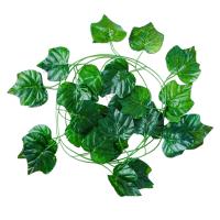 ราคา Naju ไม้เลื้อย ใบไม้ประดิษฐ์ ใบองุ่น ใบพลูด่าง ไม้เลื้อยปลอม เถาวัลย์ปลอม หญ้าเทียม ไม้เลื้อยปลอม ตกแต่งบ้าน ตกแต่งสวน leaf string (16494187089)