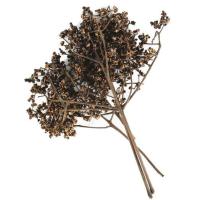 ราคา เครื่องเทศ ตราแม่น้อย ซองปลีก ผงฮังเล ผงกะหรี่ ผงขมิ้น มะแข่ว่น มะแหลบ (20555239103)