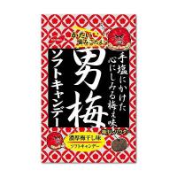 ราคา ลูกอมบ๊วยแดง Nobel Otoko Ume Candy 80g Dried Ume Plum 20g Ume Plum Sheet 10g บ๊วยแดงญี่ปุ่น ลูกอมบ๊วยญี่ปุ่น (16012008904)
