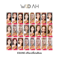 ราคา ESANE Hair Color Cream 100ml อีซาเน่ แฮร์คัลเลอร์ ครีม สีย้อมผม ครีมย้อมผม ยาย้อมผม ผมเทา สีพาสเทล 24 เฉดสี (20786852239)