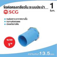 ราคา SCG ข้อต่อตรงเกลียวใน หนา ข้อต่อ PVC ข้อต่อพีวีซี ข้อต่อตรงเกลียวใน หนา ฟ้า 25 ขนาด 1 (8455183605)