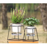 ราคา กระถางตั้งโต๊ะ แบบขาเหล็ก กระถางตั้งโต๊ะ กระถางตกแต่งห้องรับแขก กระถางตกแต่งห้องทำงาน กระถางพลาสติก กระถางสวย ๆ กระถางต้นไม้ กระถางพ (8015988525)