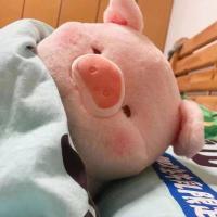 ราคา ตุ๊กตานุ่มพิเศษขนมปังตุ๊กตาหนานุ่มลูกหมู Lulu หมูน่ารัก (21259014660)