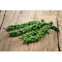 ราคา พริกไทย พริกไทยสด พริกไทยอ่อน คัดพิเศษ พริกไทยสดราคาถูก (18123593170)