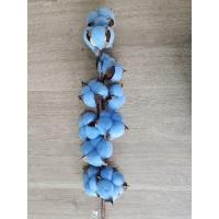 ราคา ดอกฝ้าย cotton ดอกฝ้ายธรรมชาติ (17965877075)