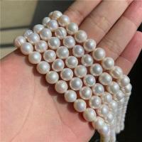 ราคา ไข่มุกธรรมชาติขนาดใหญ่8 12มม ลูกปัดมุกน้ำจืดแท้ลูกปัดมุกกลมสำหรับทำเครื่องประดับสร้อยคอ DIY สร้อยข้อมือขนาด14 Adwbaj (18616991482)