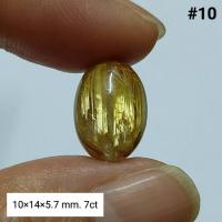 ราคา ไหมทองหลังเบี้ย ไหมแน่นเป็นแผ่น เหมาะสำหรับทำหัวแหวน (21246289863)