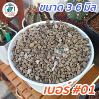 ราคา 1 กิโล หินภูเขาไฟ พัมมิส Pumice หินรองก้อนกระถาง ผสมดินปลูกวัสดุ เบอร์00 เบอร์01 เบอร์02 ปลูกแคคตัส กระบองเพชร (21313181638)