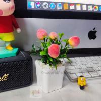 ราคา ต้นไม้ผลไม้มงคล ต้นไม้ปลอม 39 บาท 3 ต้น 100 บาท เสริมโต๊ะทำงาน ต้นส้ม ต้นแอปเปิ้ล ต้นทับทิม (14921489927)