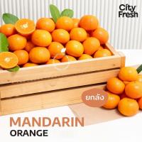 ราคา CityFresh ส้มแมนดารินไต้หวัน Wogan 45 ผลไม้นำเข้า (21338761170)