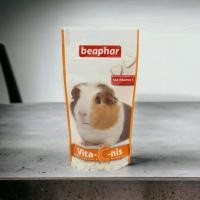 ราคา Beaphar Vita C nis วิตามินซีอัดเม็ดรสส้ม สำหรับหนูแกสบี้ หนูขวัญ หนูตะเภา Guinea Pig 150 เม็ด (20987837954)