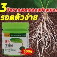ราคา 3วันหยั่งราก ยาเร่งราก ผงเร่งราก ผงเร่งรากพืช 500g เร่งดอก เร่งราก น้ำยาเร่งราก ปุ๋ยเร่งราก สารเร่งรากพืช สารเร่งราก รากเยอะขึ้น10เท่า (21209859969)