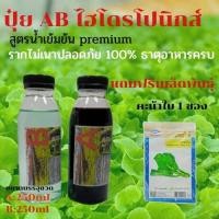 ราคา ปุ๋ยไฮโดรโปนิกส์ ปุ๋ยAB ขนาด250ml ปุ๋ยน้ำ ปุ๋ยเอบี ปุ๋ยผักสลัด ปุ๋ยผักHydroponics สูตรปรับปรุงใหม่ ขนาดบรรจุ250ml แถมฟรีเมล็ดคะน้าใบ 1ซอง (9574733850)
