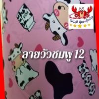 ราคา โปรแรงส์ The Giant 3 54 55 5 กิโล ฮูล่าฮูปแบบ บิ้กจัมโบ้ ไซร์พิเศษลดหน้าท้องแบบนุ๊มนุ่ม การนวด แบบ Premium (12400644559)