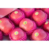 ราคา แอปเปิ้ลฟูจิ APPLE FUJI ALFA แอปเปิ้ล อร่อยแอบเปิ้ล หวาน กรอบ อร่อย ผลไม้เดลิเวอรี่ ผลไม้นอก ผลไม้นำเข้า แอปเปิ้ลฟูจิ 28 ลูก มีสองแบบ สอบถามก่อนกดสั่ง (18095582454)