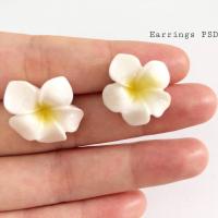 ราคา P25 ต่างหู ต่างหูดอกไม้ ต่างหูมินิมอล ต่างหูเกาหลี (14904742203)