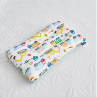 ราคา หมอนเด็กอนุบาล หมอนใยสังเคราะห์ ผ้า COTTON 100 (14336938969)