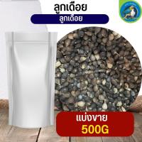 ราคา สุดยอด ลูกเดือย Thai millet อาหารนก กระต่าย หนู กระต่าย กระรอก ชูก้า และสัตว์ฟันแทะ แบ่งขาย 250G 500G 1KG (19769364097)