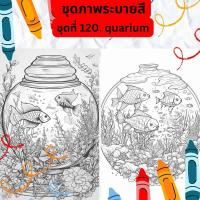 ราคา ภาพระบายสี ภาพลายเส้น ชุดที่ 120 quarium กระดาษ A4 A5 หนา 80 210 แกรม จำนวน 30 แผ่น เส้นคมชัด สีไม้ สีเทียน สีน้ำ สีอะคลิ (20472097766)