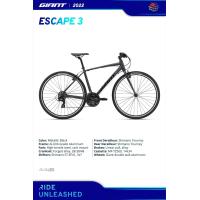 ราคา จักรยานไฮบริด GIANT ESCAPE 3 (18436751432)