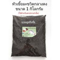 ราคา หัวเชื้อตกปลา 1 กิโลกรัม หัวเชื้อตาล หัวเชื้อมะขวิด หัวเชื้อกลอย หัวเชื้อกลางดง เหยื่อปลา เหยื่อตกปลา เหยื่อตกปลานิล (16610674188)