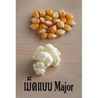 ราคา เมล็ดข้าวโพด เมล็ดป๊อปคอร์น มี 2 พันธุ์ ให้เลือก เม็ดข้าวโพดป๊อปคอร์น เมล็ดข้าวโพด เมล็ดข้าวโพดป๊อปคอร์น ผงเขย่า popcorn ป๊อปคอร์น (12111976330)