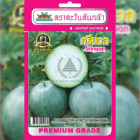 ราคา เมล็ดพันธุ์ ฟักหอม ลูกผสม ศรีนวล ตราตะวันต้นกล้า (19934196604)