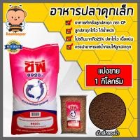 ราคา อาหารปลาดุกเล็ก9920D มีให้เลือก 1 20 กิโลกรัม อาหารลูกปลาดุก อาหารปลาดุกเล็กซีพี ลูกปลาดุกโตไว อาหารปลาดุกเม็ดเล็ก อาหารปลาซีพี (18787184883)