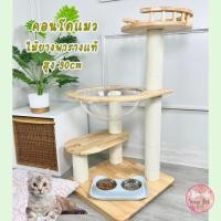 ราคา คอนโดแมวไม้ยางพาราจริง คอนโดแมว คอนโดแมวโรงงานไทย ไม้แท้ Bed (18831126132)