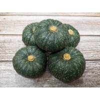 ราคา สดใหม่จากฟาร์มทุกวัน ฟักทองมินิ ฟักทองสังขยา mini ball pumpkin ราคา ถูก ส่ง (20895612763)