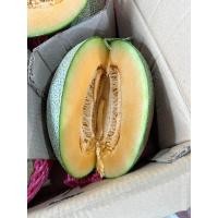 ราคา แตงเมล่อน น้ำหนัก11กิโล หวานเจี๊ยบบบบ (20696431283)